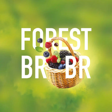 Shisha Tabak MustH 25g Forrest Brrs